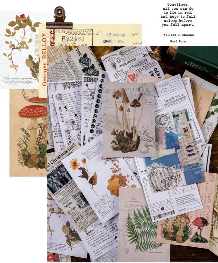 Pegatinas de papel de calco con fondo de bosque (6 hojas)