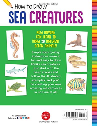 How to Draw Sea Creatures