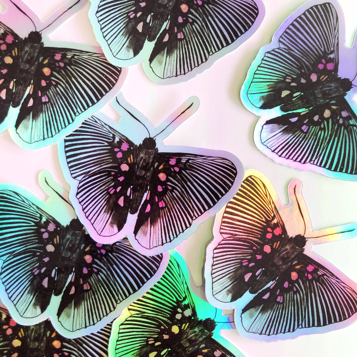 Pegatina holográfica de Lyropteryx Apollonia