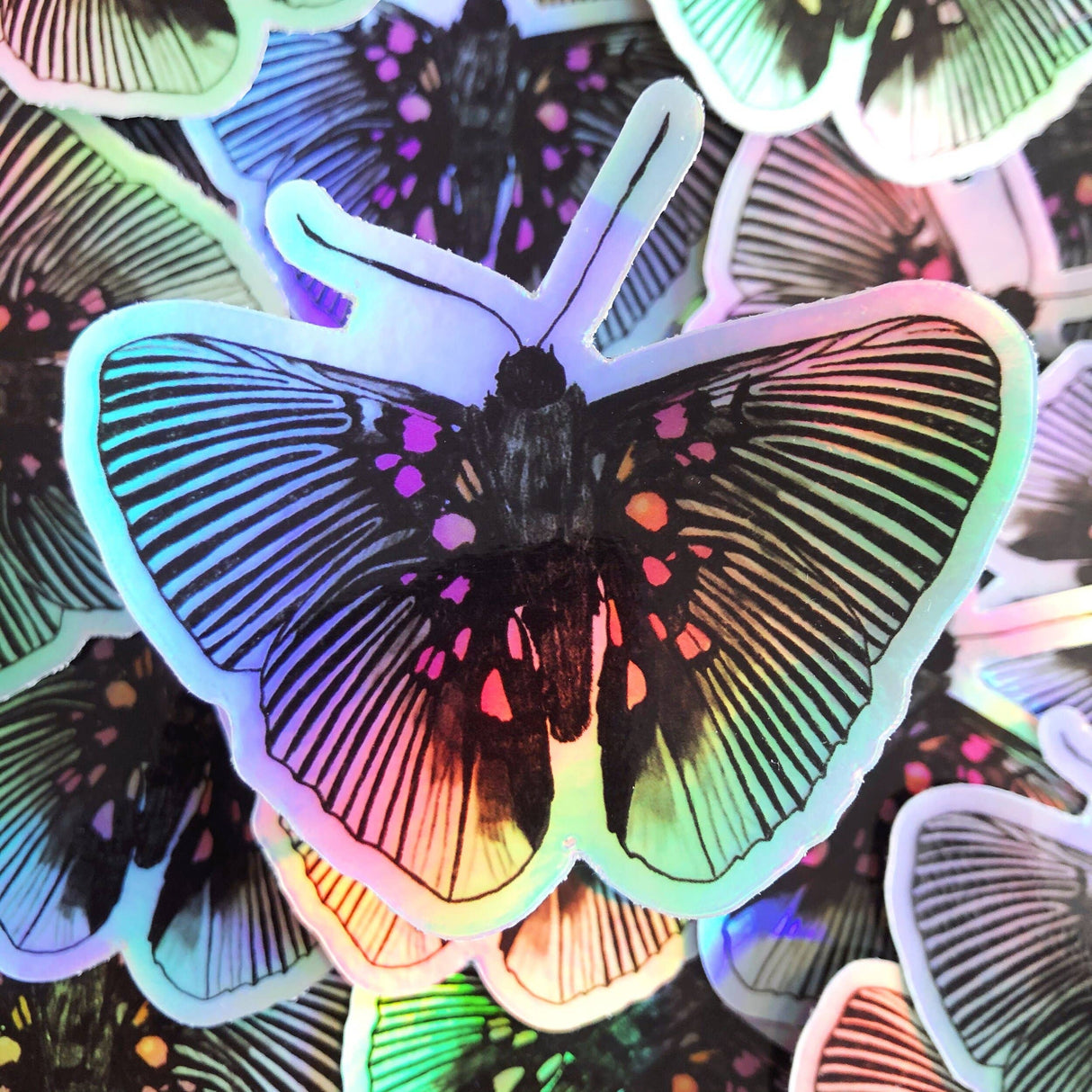 Pegatina holográfica de Lyropteryx Apollonia