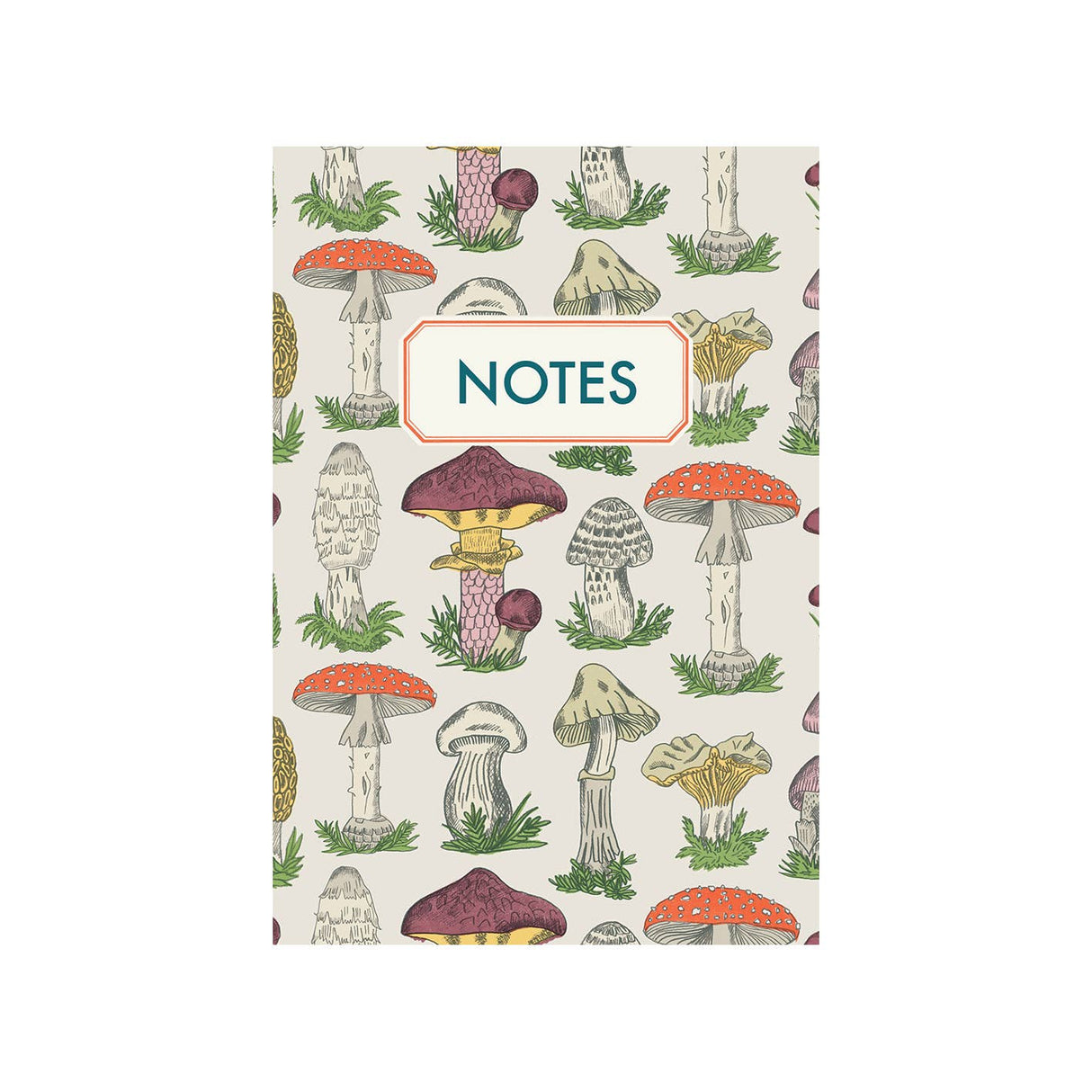 Mushrooms Notebook