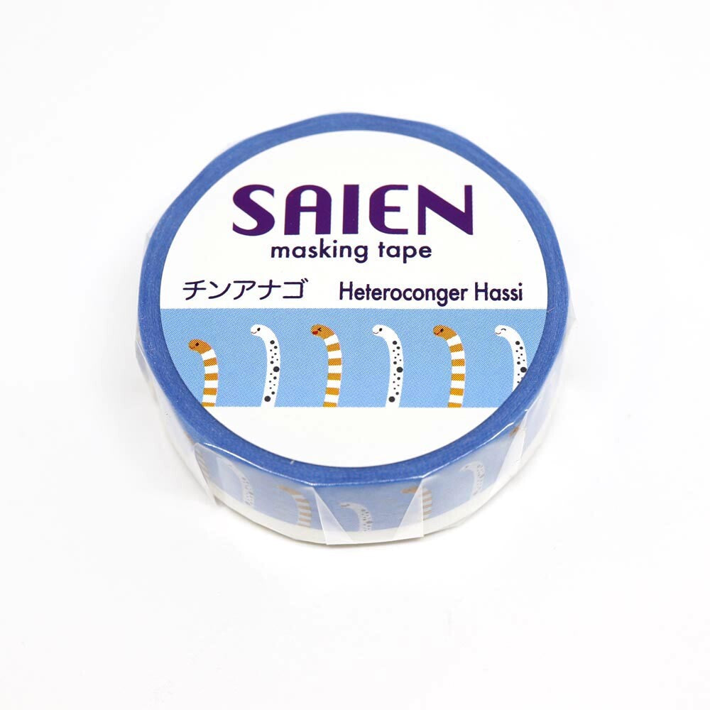 Heteroconger Hassi / Spotted Garden Eel