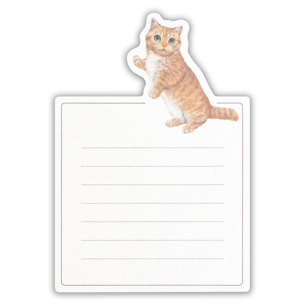 Juego de mini letras VILLE et Minou Mimi