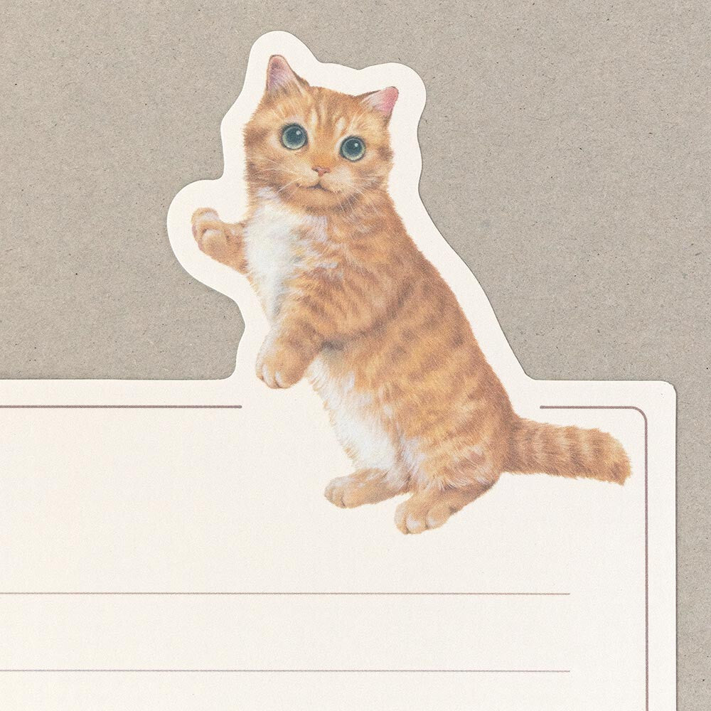 Juego de mini letras VILLE et Minou Mimi