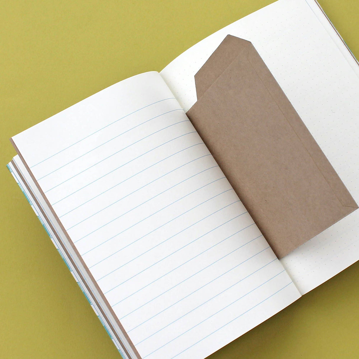 Diario de hojas y semillas