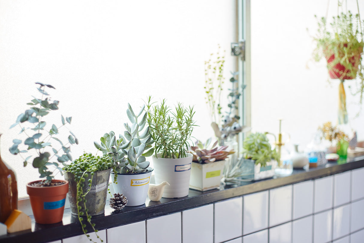 KITTA Limited Ore Washi Tape