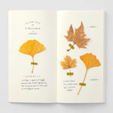 Cuaderno de viaje 025 MD Papel Crema (Tamaño Regular)