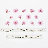 Kawazu Cherry Blossom Washi Roll Sticker Bande