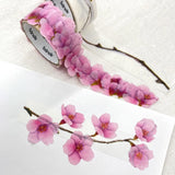 Kawazu Cherry Blossom Washi Roll Sticker Bande