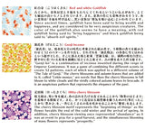 Kamiiso Kimono Origami Paper Pack - Retro Modern