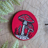 Fly Agaric Mushroom Patch