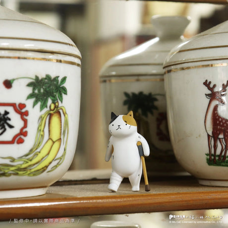 Cat Kung Fu Dojo Blind Box