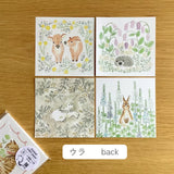4legs Animal Letter Paper Set B (48 sheets) Four forest-themed greeting cards with animals on a wooden surface.