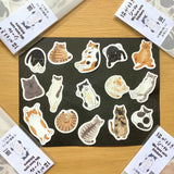 I drew 15 kinds of cute cat gestures one by one and made them into flake stickers.&nbsp;There are two pieces of each, so please enjoy using one, collecting one, or giving it to
a friend!&nbsp;It comes with a postcard-sized cat illustration paper as a bonus!

30 flake stickers (2 sheets × 15 types)
1 bonus illustration paper