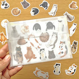 I drew 15 kinds of cute cat gestures one by one and made them into flake stickers.&nbsp;There are two pieces of each, so please enjoy using one, collecting one, or giving it to
a friend!&nbsp;It comes with a postcard-sized cat illustration paper as a bonus!

30 flake stickers (2 sheets × 15 types)
1 bonus illustration paper