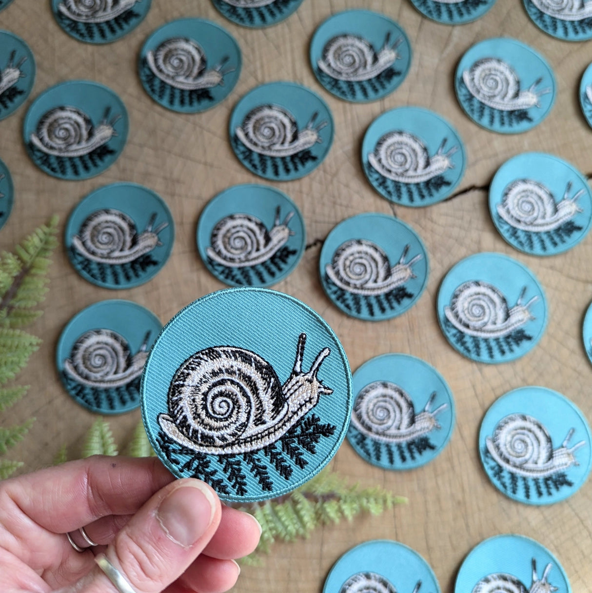 Snail with Fern Patch