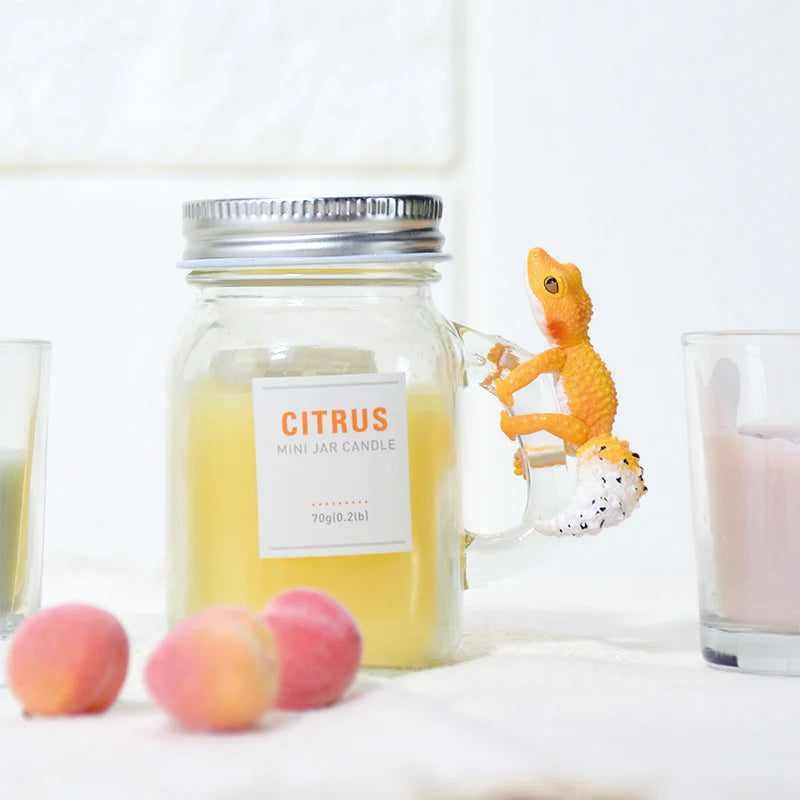 Lizard Hug Blind Box