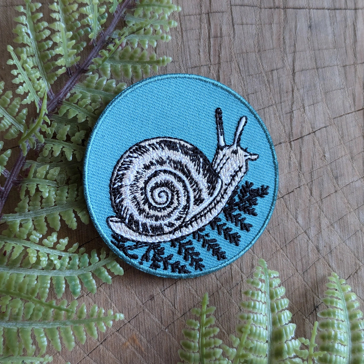 Snail with Fern Patch