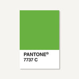 Pantone Postcard Box, 100 Postcards