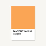 Pantone 50 Postcards