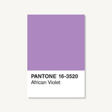 Pantone 50 Postcards