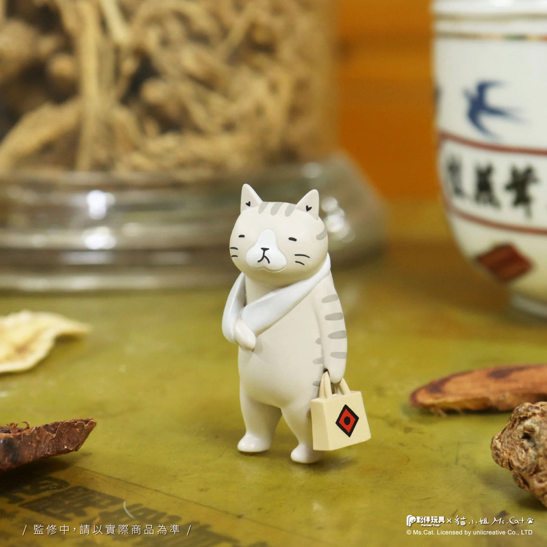 Cat Kung Fu Dojo Blind Box