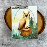 Add a special touch to your cards and paper crafts with our exclusive 6"x8.5" cardstock pads! This stunning best-seller is perfect for both masculine and feminine designs, featuring everything from flowers and forest scenes to feathers and pine trees. With 24 double-sided sheets showcasing 24 coordinating patterns, it’s ideal for any creative project. Printed on smooth satin finish 65# cover cardstock for a luxurious feel, and acid and lignin-free for lasting quality. Made with love in the USA!