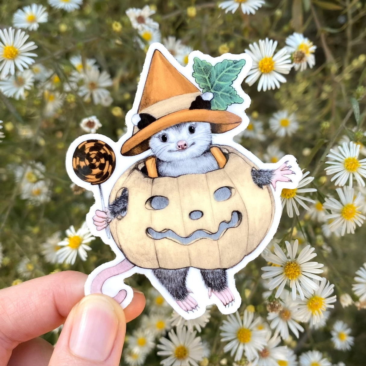 Allison Stoiser Art - Pumpkin Buddy Opossum Halloween Vinyl Sticker