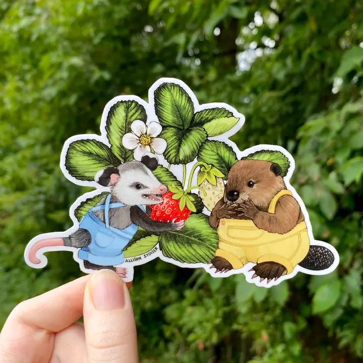 This large 4” sticker features my illustration of two little overall-clad opossum and beaver farmers picking a fresh strawberry.