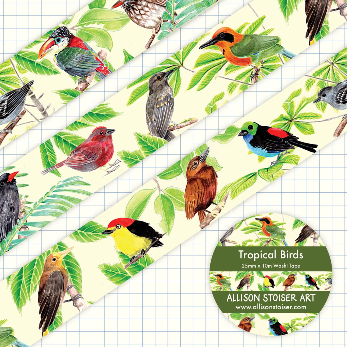 This washi tape features a pattern of my watercolor tropical bird illustrations with palms and other trees native to the Amazon rainforest serving as botanical accents. All of these birds, from the curl-crested aracari to the wire-tailed manakin to the rufous motmot can be found in the Peruvian Amazon!

This washi tape roll measures 25mm x 10m.

Washi tape is perfect for journaling, junk journaling, decorating mail, hanging prints on the wall, and more!&nbsp;