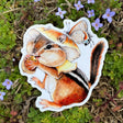 Allison Stoiser Art Honey Mushroom Chipmunk Weatherproof Vinyl Sticker