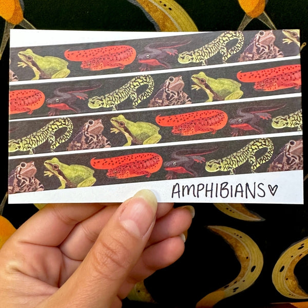 Amphibians Washi Tape
