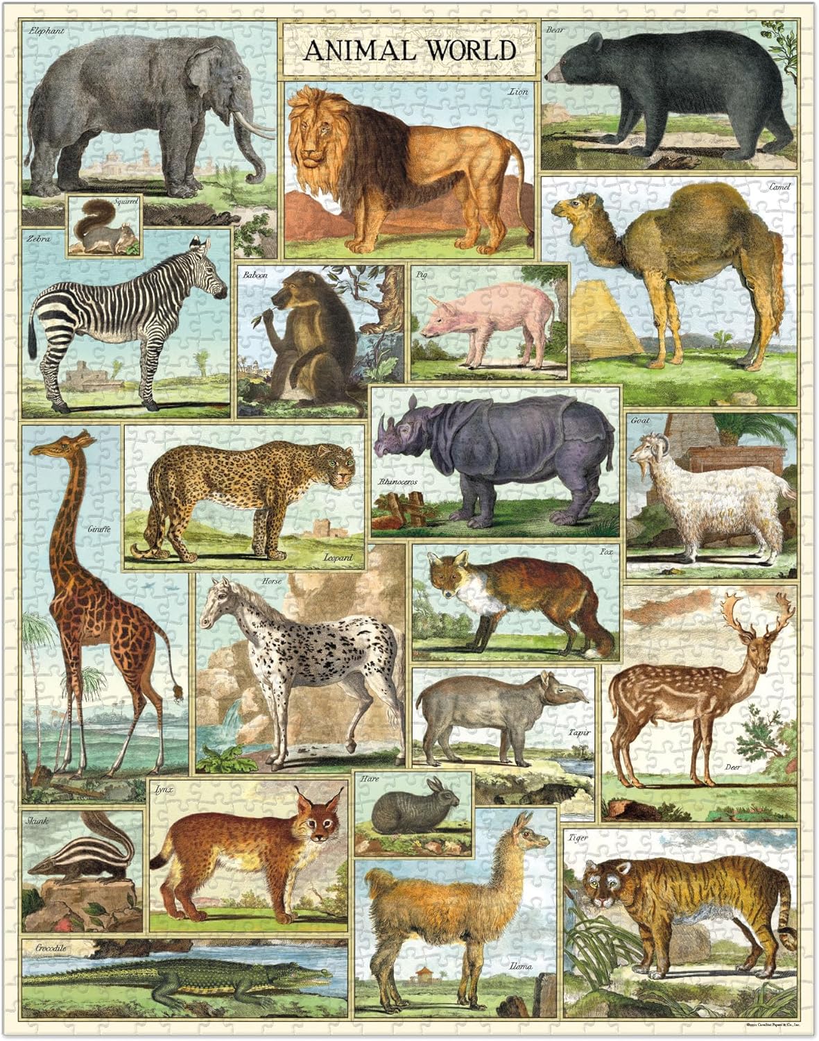 Animal World 1,000 Piece Puzzle Cavallini & Co
