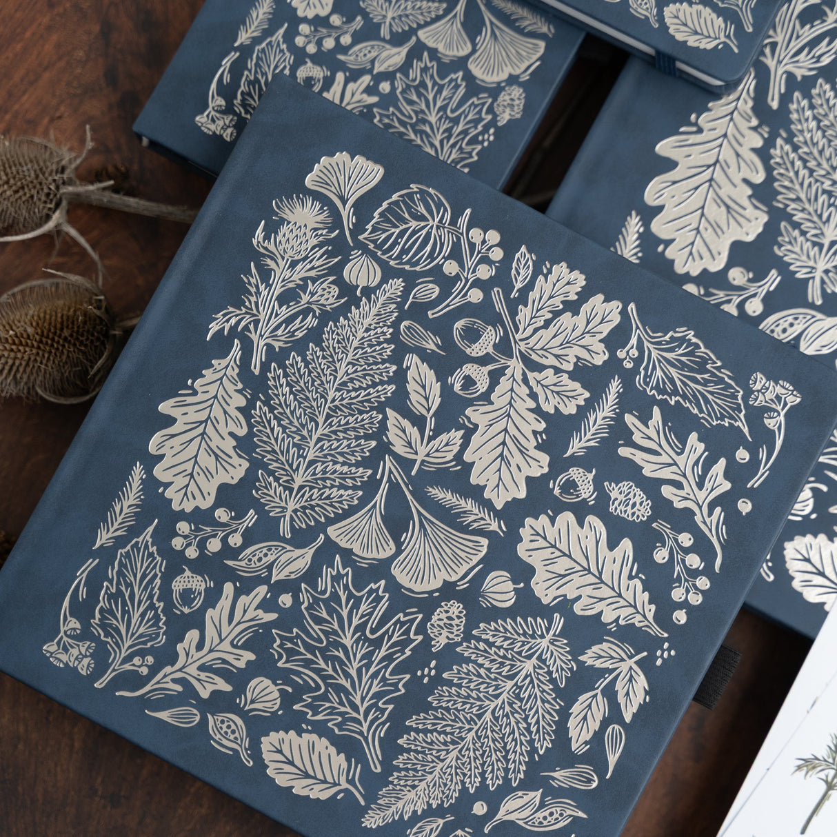 Archer and Olive Notebook: Forest Impressions