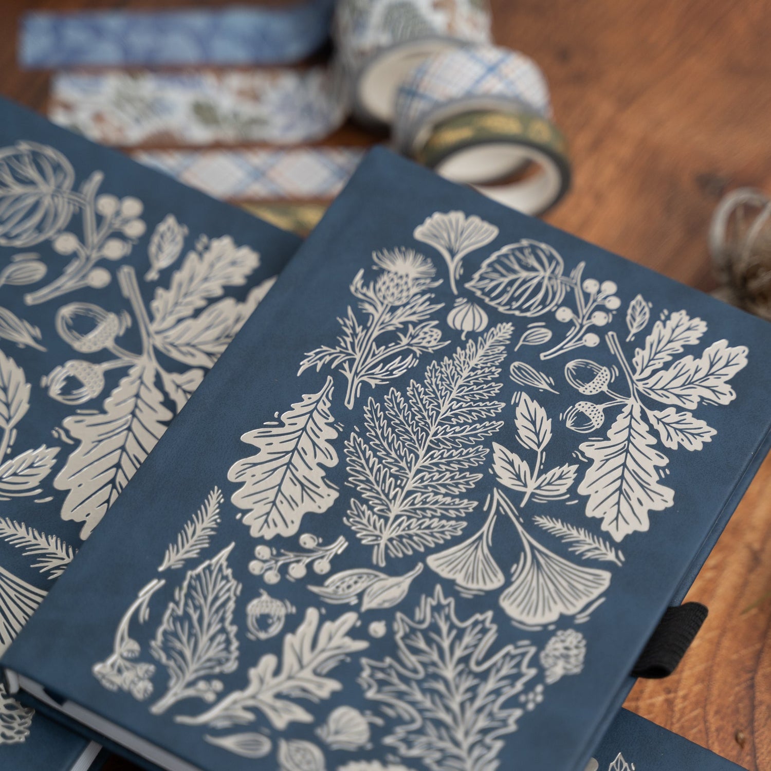 Archer and Olive Notebook: Forest Impressions