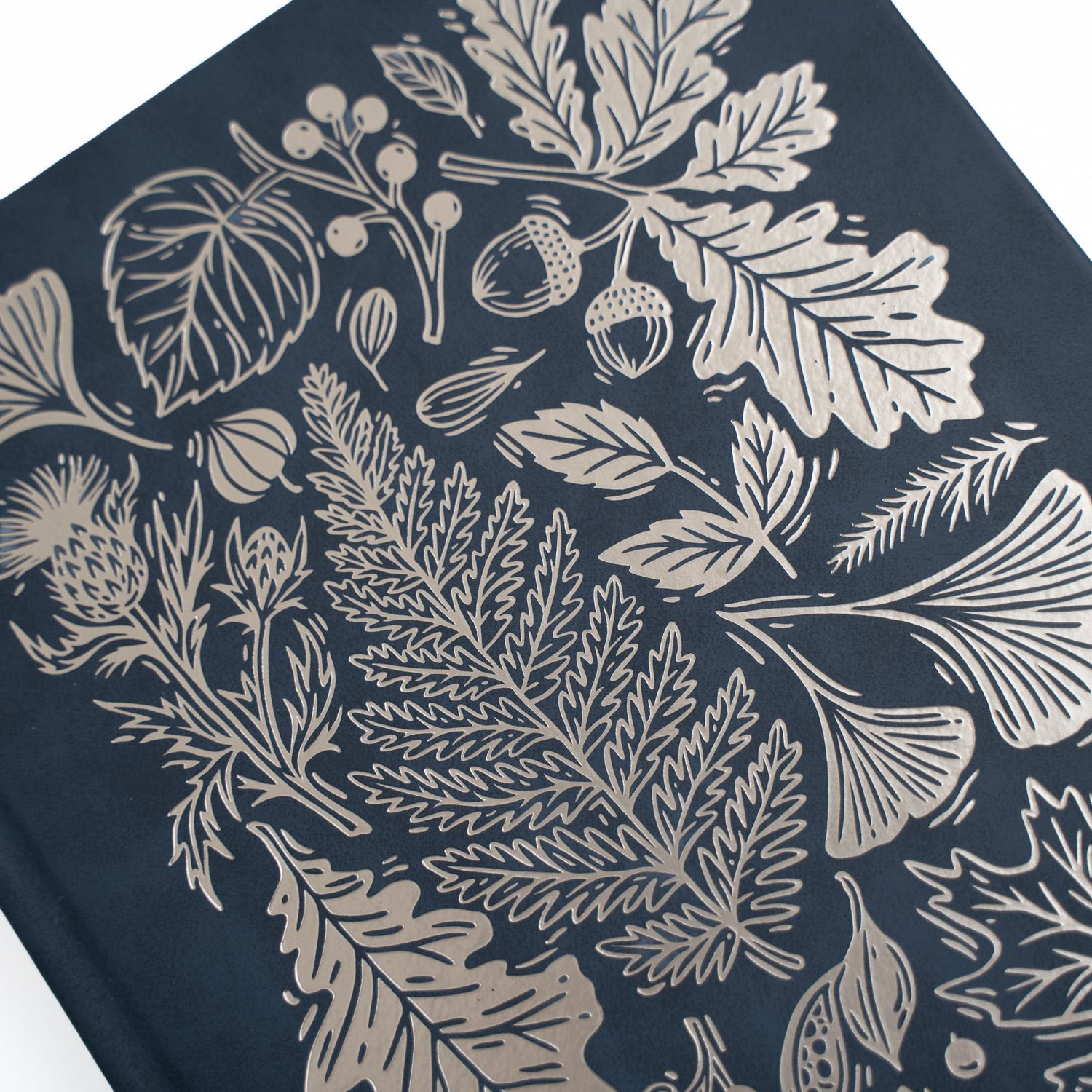 Archer and Olive Notebook: Forest Impressions