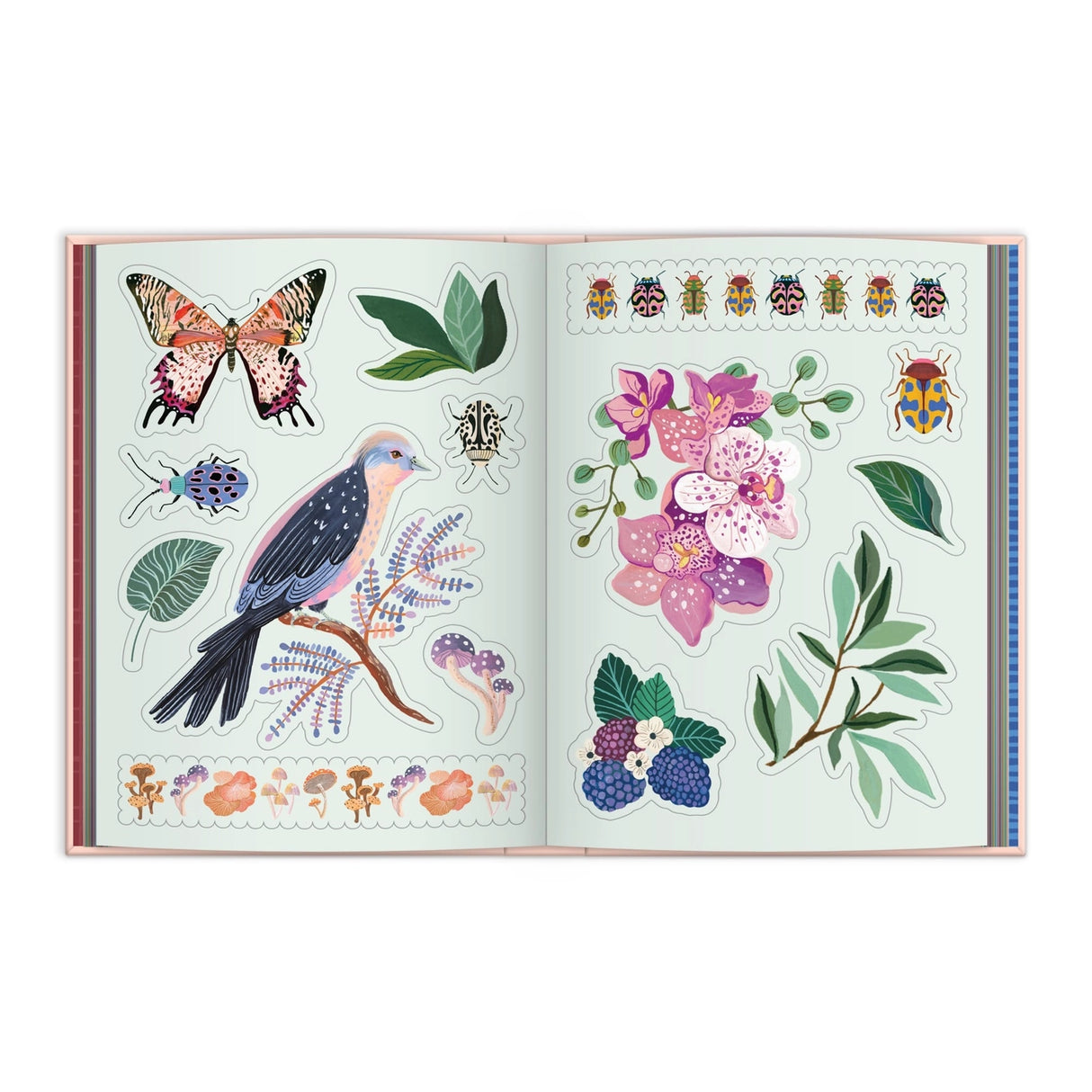 Art of the Forest Sticker Book

Explore the natural world through the artistic lens of Christine de Carvalho with this expansive 100-page sticker book. Featuring meticulously illustrated forest scenes and wildlife, each page invites creative expression and imaginative play.