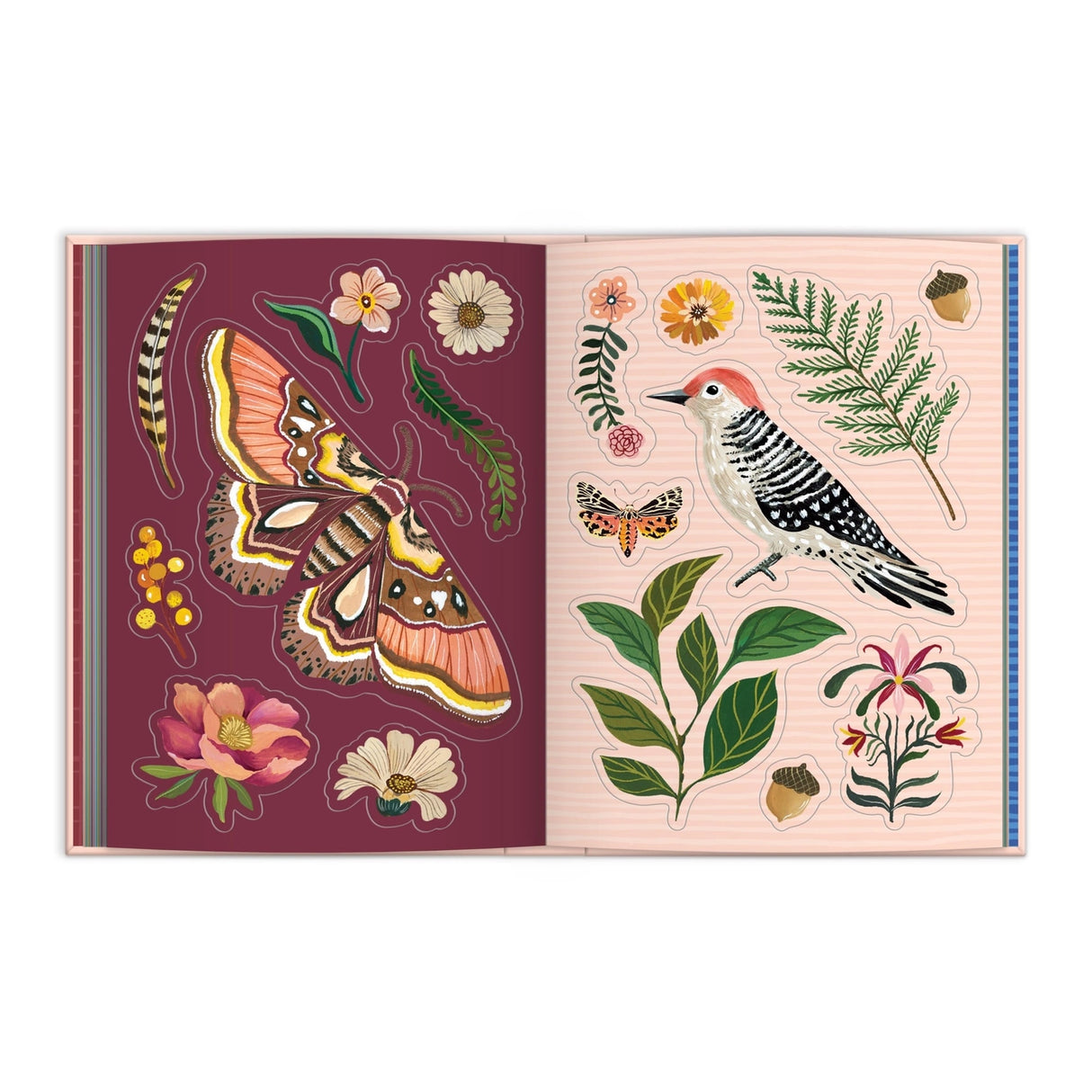 Art of the Forest Sticker Book

Explore the natural world through the artistic lens of Christine de Carvalho with this expansive 100-page sticker book. Featuring meticulously illustrated forest scenes and wildlife, each page invites creative expression and imaginative play.