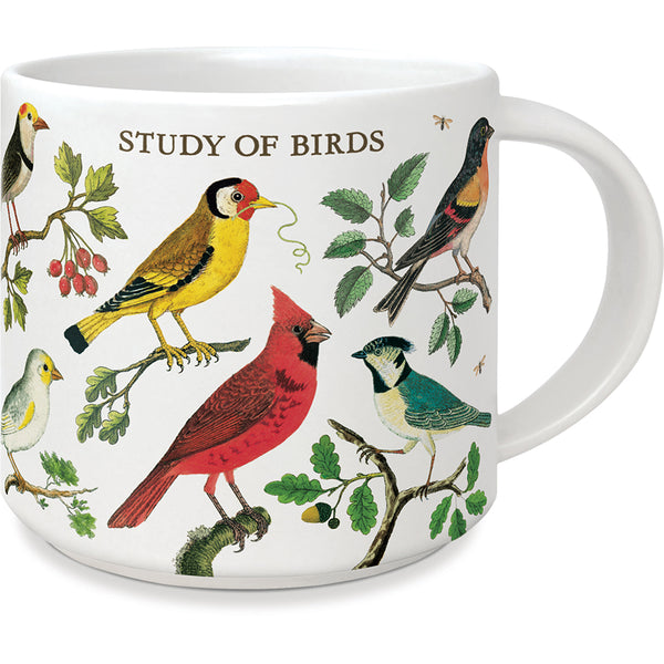 Cavallini & Co. Study of Birds Vintage Inspired Mug