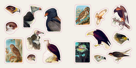 Birds: A Smithsonian Sticker Book By the Smithsonian Institution