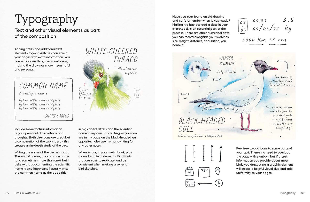 Birds in Watercolour: A Beginner's Guide to Drawing and Painting Birds

Discover the joy of drawing and painting birds with this inspiring, accessible guide for bird lovers, budding artists and nature journalers.