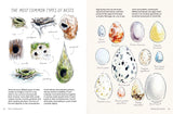 Birds in Watercolour: A Beginner's Guide to Drawing and Painting Birds

Discover the joy of drawing and painting birds with this inspiring, accessible guide for bird lovers, budding artists and nature journalers.