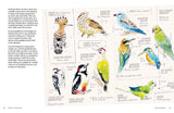 Birds in Watercolour: A Beginner's Guide to Drawing and Painting Birds

Discover the joy of drawing and painting birds with this inspiring, accessible guide for bird lovers, budding artists and nature journalers.