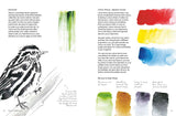 Birds in Watercolour: A Beginner's Guide to Drawing and Painting Birds

Discover the joy of drawing and painting birds with this inspiring, accessible guide for bird lovers, budding artists and nature journalers.