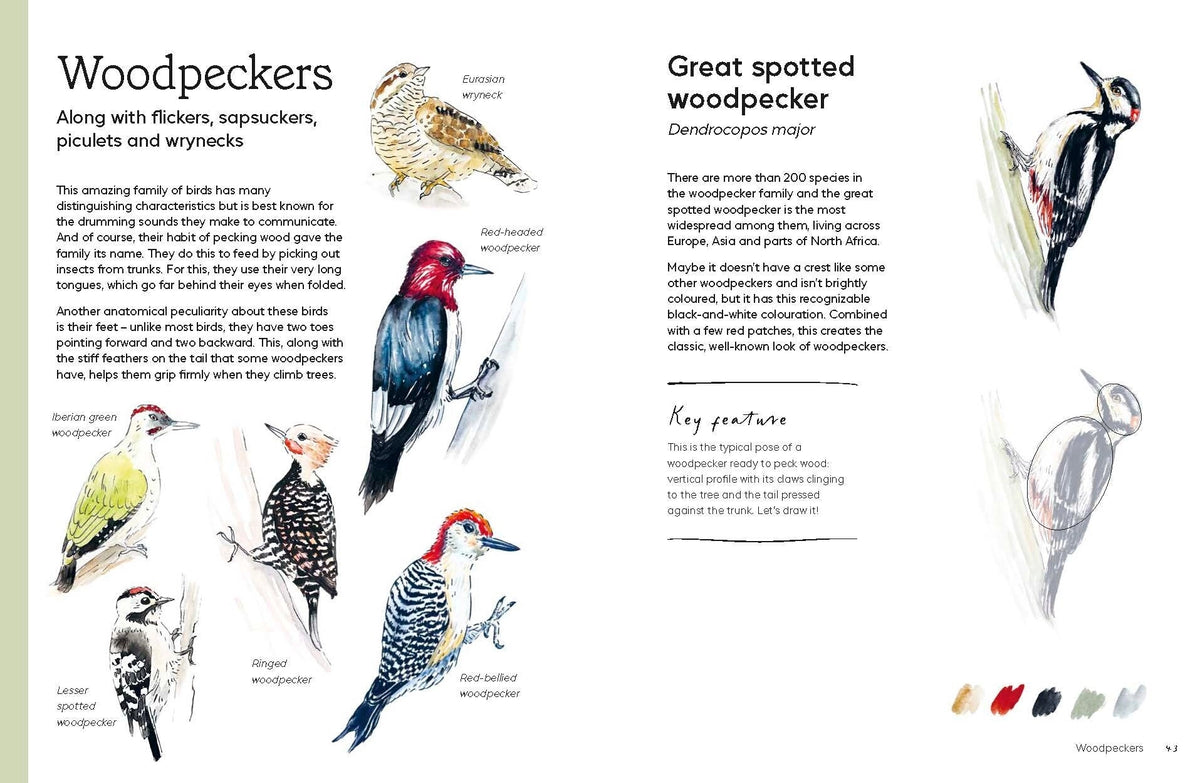 Birds in Watercolour: A Beginner's Guide to Drawing and Painting Birds

Discover the joy of drawing and painting birds with this inspiring, accessible guide for bird lovers, budding artists and nature journalers.