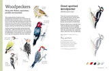 Birds in Watercolour: A Beginner's Guide to Drawing and Painting Birds

Discover the joy of drawing and painting birds with this inspiring, accessible guide for bird lovers, budding artists and nature journalers.