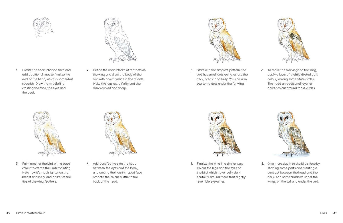 Birds in Watercolour: A Beginner's Guide to Drawing and Painting Birds

Discover the joy of drawing and painting birds with this inspiring, accessible guide for bird lovers, budding artists and nature journalers.