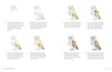 Birds in Watercolour: A Beginner's Guide to Drawing and Painting Birds

Discover the joy of drawing and painting birds with this inspiring, accessible guide for bird lovers, budding artists and nature journalers.
