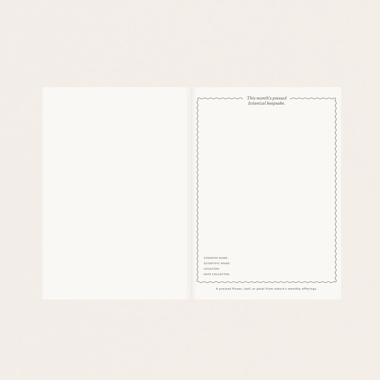 Hand-illustrated luxurious undated planner&nbsp;

Size: 6.25"x 8.5" x 0.75"

&nbsp;Lay-flat binding
Cover printed in full color and gold foil stamped
Matte gold foil-gilded edges ~ Full-color Book linen cloth
Illustrated inner pages
2 satin bookmarks
120 gsm natural white interior pages
Back pocket
Undated with room for 12 months
Birthdays and Special events spread
Monthly view located at the start of each month.
Weekly view
Notes pages