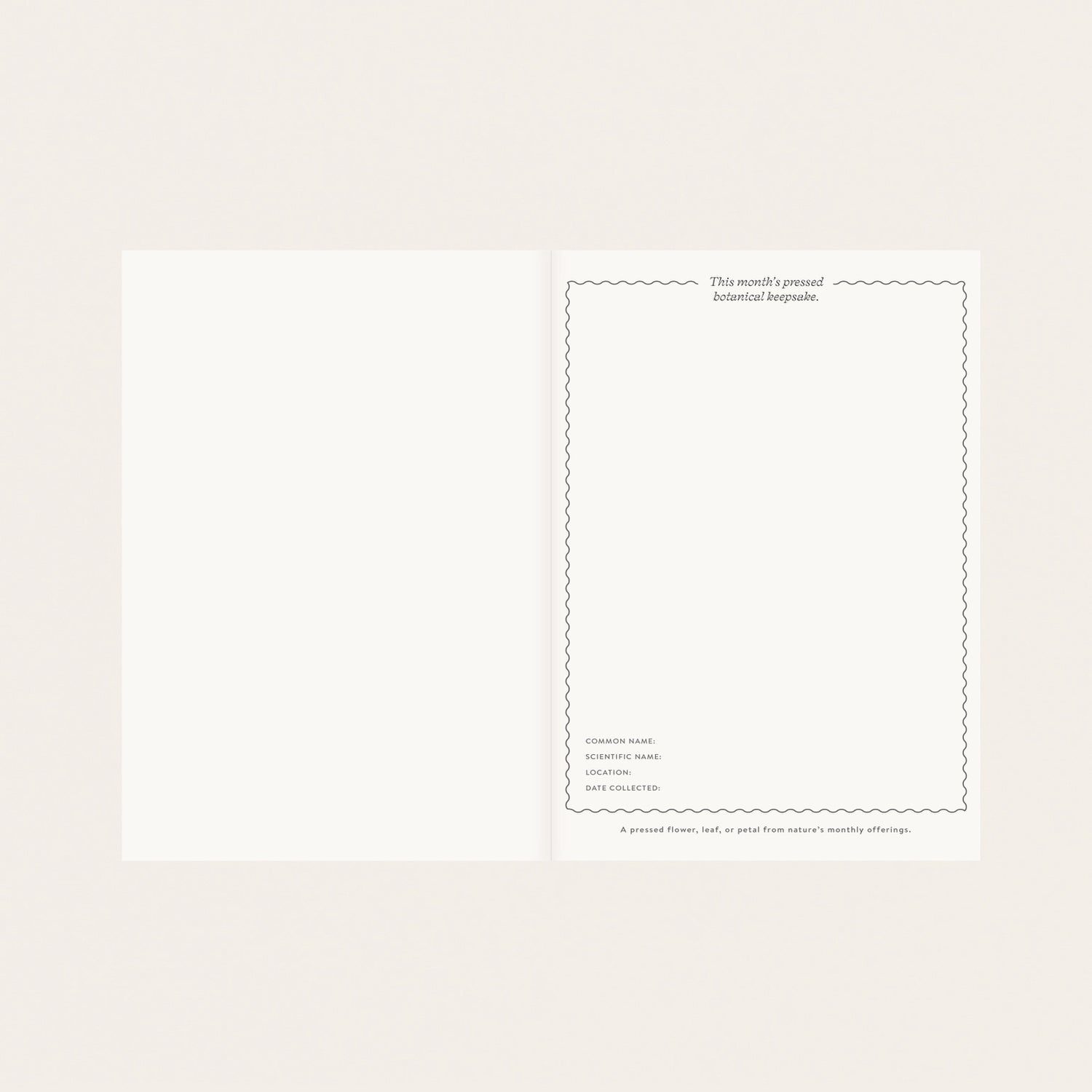 Hand-illustrated luxurious undated planner&nbsp;

Size: 6.25"x 8.5" x 0.75"

&nbsp;Lay-flat binding
Cover printed in full color and gold foil stamped
Matte gold foil-gilded edges ~ Full-color Book linen cloth
Illustrated inner pages
2 satin bookmarks
120 gsm natural white interior pages
Back pocket
Undated with room for 12 months
Birthdays and Special events spread
Monthly view located at the start of each month.
Weekly view
Notes pages